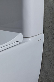 Allen Brau Чаша напольного унитаза Priority 4.31003.20 белый – фотография-24