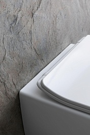 Allen Brau Унитаз подвесной Liberty 4.33007.21 белый матовый с крышкой 4.33008.21 – фотография-17