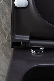 Allen Brau Чаша подвесного унитаза Priority 4.31001.AN антрацит – фотография-18