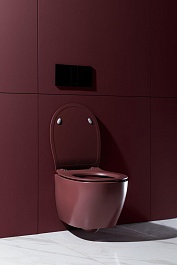 Allen Brau Унитаз подвесной Fantasy 4.11004.BD бордо с крышкой 4.11005.BD – фотография-22