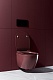 Allen Brau Унитаз подвесной Fantasy 4.11004.BD бордо с крышкой 4.11005.BD – фотография-47