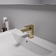 Oliveeka Смеситель для раковины D OL-139003-BG золотой матовый – фотография-5