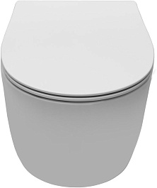 Allen Brau Унитаз подвесной Fantasy 4.11004.21 белый матовый с крышкой 4.11005.21 – фотография-2