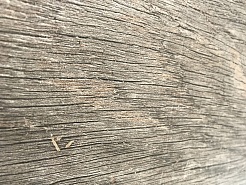 0 Sava – фотография-1