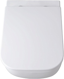 Allen Brau Унитаз подвесной Infinity 4.21004.20 белый глянец с крышкой 4.21010.20 – фотография-18