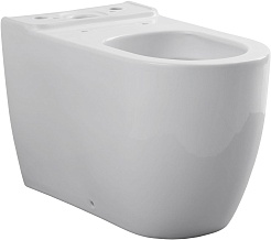 Allen Brau Чаша напольного унитаза Priority 4.31003.20 белый – фотография-8