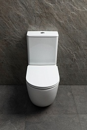 Allen Brau Чаша напольного унитаза Priority Tornado 4.31006.20 белый глянец – фотография-8