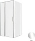 Allen Brau Душевой уголок Priority 100x90 3.31028.00/3.31043.00 хром – картинка-12