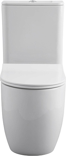 Allen Brau Унитаз напольный Priority 4.31003.20 белый – картинка-3