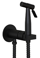 Paini Смеситель для биде с гигиеническим душем Castello CAYO442R встраиваемый, черный