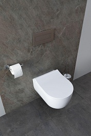 Allen Brau Унитаз подвесной Priority 4.31002.20 белый глянец с крышкой 4.31004.20 – фотография-28