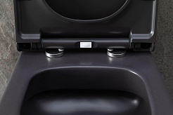 Allen Brau Унитаз подвесной Priority 4.31002.AN антрацит с крышкой 4.31004.AN – фотография-23