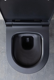 Allen Brau Чаша подвесного унитаза Priority 4.31001.31 чёрный матовый – фотография-16