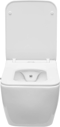 Allen Brau Чаша подвесного унитаза Liberty 4.33009.20 белый – картинка-13