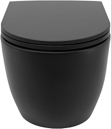 Allen Brau Чаша приставного унитаза Fantasy 4.32004.31 чёрный матовый – фотография-6