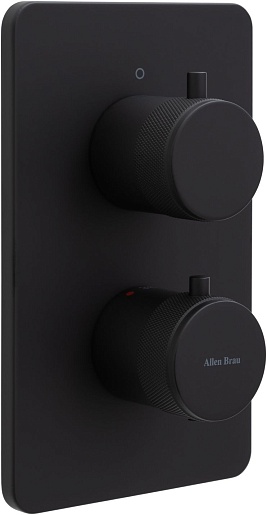 Allen Brau Смеситель для душа Priority 5.31113-31 (с внутренней частью, 1 выход) черный матовый – фото-1