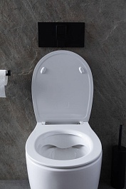 Allen Brau Чаша приставного унитаза Fantasy 4.11007.20 белый глянец – фотография-22