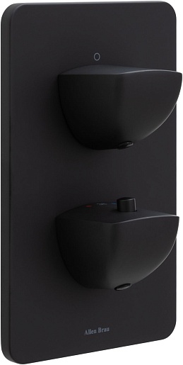 Allen Brau Смеситель для душа Infinity 5.21116-31 (с внутренней частью, 1 выход) черный матовый – фото-1