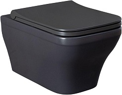 Allen Brau Унитаз подвесной Infinity 4.21011.AN антрацит с крышкой 4.21014.AN – фотография-1