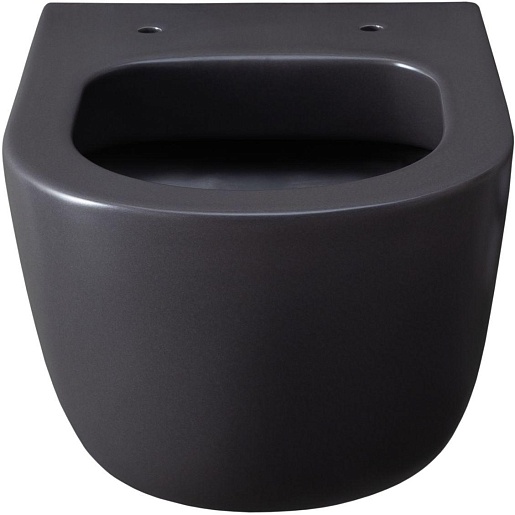 Allen Brau Унитаз подвесной Priority 4.31002.AN антрацит с крышкой 4.31004.AN – картинка-5