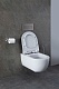 Allen Brau Унитаз с инсталляцией Priority 00301296/8.9466.0.000.000.1 белый глянец – картинка-47