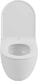 Allen Brau Унитаз подвесной Priority 4.31009.20 белый глянец с крышкой 4.31011.20 – фотография-14