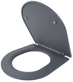 Esbano Сиденье для унитаза Azalea/Clavel серое матовое – фотография-2