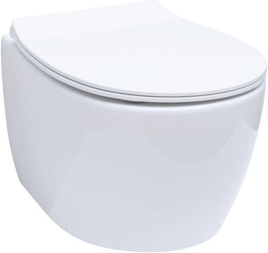 Allen Brau Чаша подвесного унитаза Fantasy 4.11004.20 белый глянец – фото-1