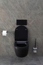 Allen Brau Чаша подвесного унитаза Priority 4.31002.31 чёрный матовый – фотография-23