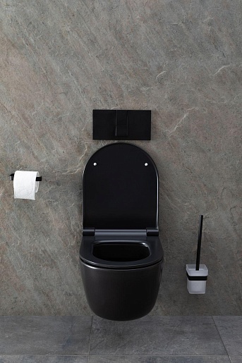 Allen Brau Чаша подвесного унитаза Priority 4.31002.31 чёрный матовый – картинка-23