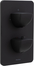 Allen Brau Смеситель для ванны Infinity 5.21216-31 (с внутренней частью, 2 выхода) черный матовый – фотография-1