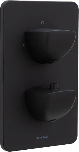 Allen Brau Смеситель для ванны Infinity 5.21216-31 (с внутренней частью, 2 выхода) черный матовый – фото-1
